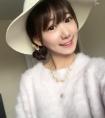 狮子是犬科还是猫科（狮子被定义为犬科）