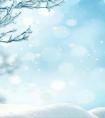 12月6日是什么星座的（阳历十二月六号是什么座啊）