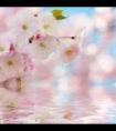久别相逢水水双鱼全文（小说相逢不相识水水双鱼）