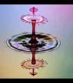 冬月29是什么星座（1993年冬月二十九是什么星座）