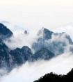 白羊女拉黑代表什么（被白羊女全线拉黑）